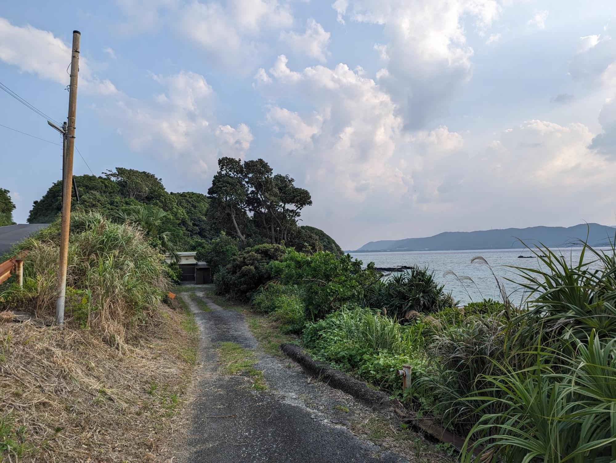 くじらの家 Villa Amami Exterior photo