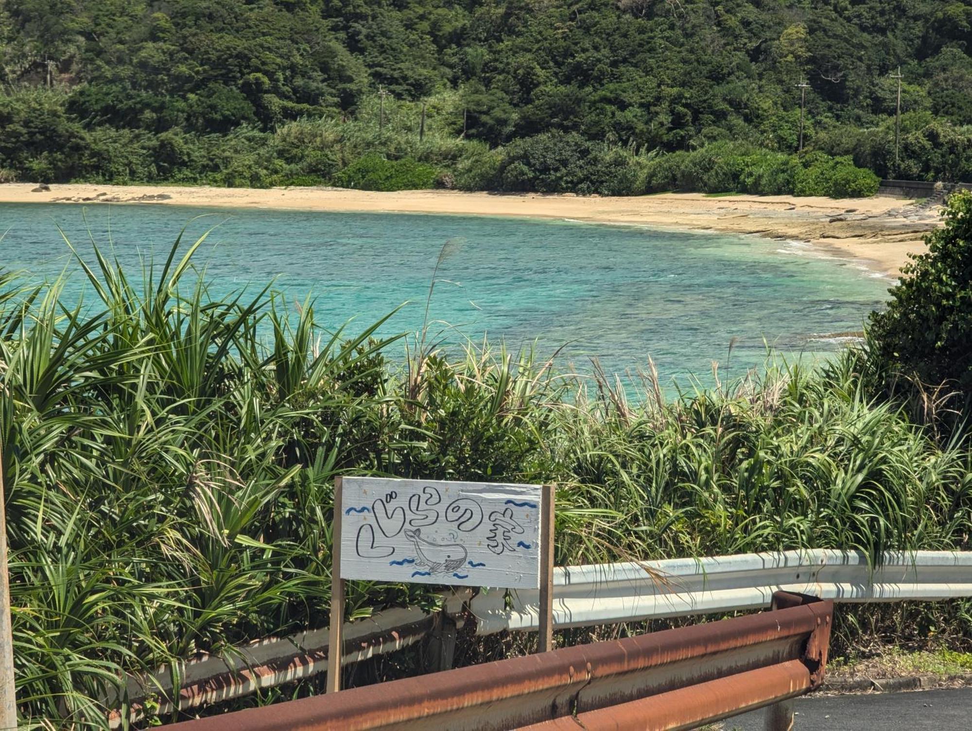 くじらの家 Villa Amami Exterior photo